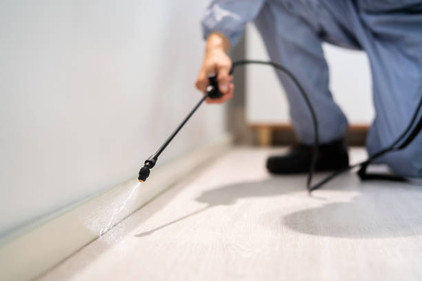 Licensed Cockroach Control service in Hardeeville, SC - Nex Pest Control
