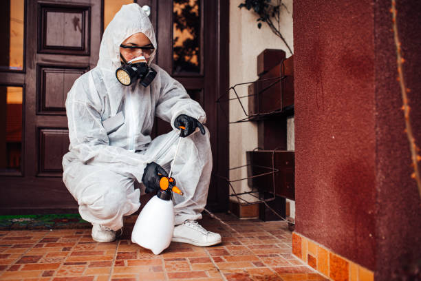 Reliable Cockroach Control contractor in Hardeeville, SC by Nex Pest Control